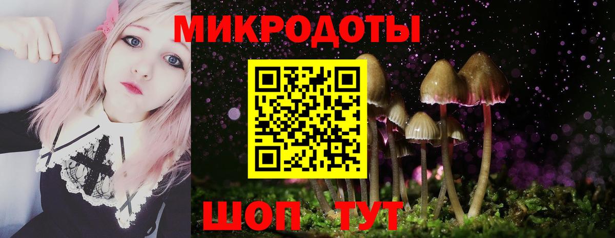Галлюциногенные грибы прущие грибы  Псилоцибиновые грибы MAGIC MUSHROOMS  Вход с VPN  Тара 